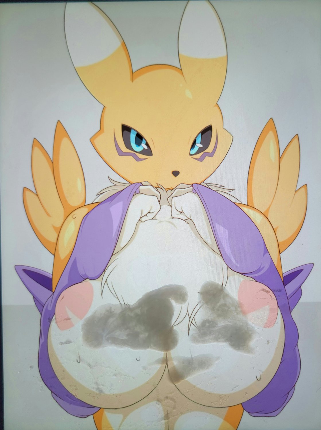 Renamon SOP #LieYh715