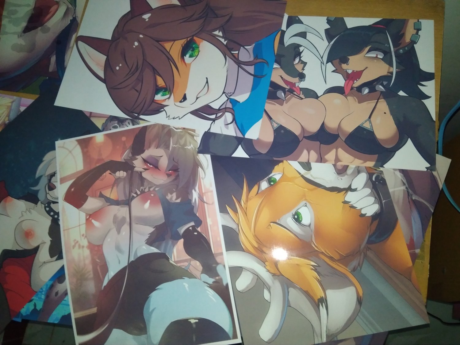 500+ Followers!🎉 AND Updates! #5SboAb05